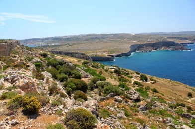 Rugged Limestone cliffs looking towards Anchor Bay, North Malta. 