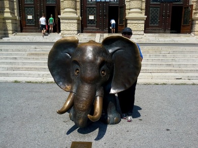 The bronze elephant outside the Natural History Museum. Note Lynn hiding behind his ear? 