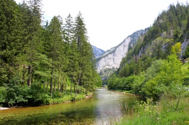 The Enns River in the Nationalpark Gesause. 