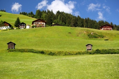 Mown grass and pretty ski lodges in the Grossarl valley. 