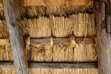 Detail of the thatched roof. 