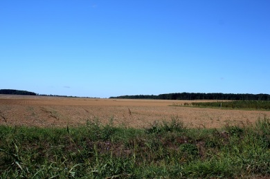 Flat and boring farmlands around Kadarkut in Southern Hungary. 